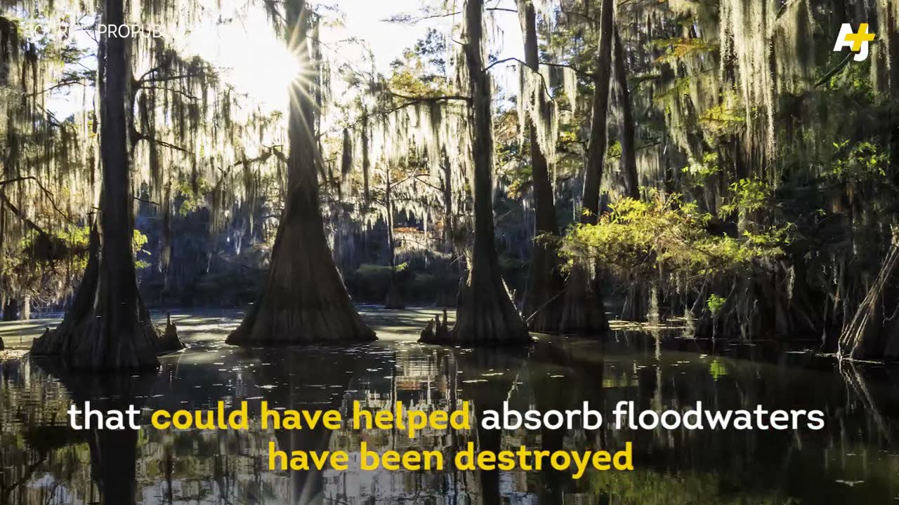 Will the US learn to handle storms?