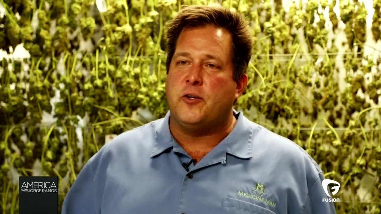 Where marijuana policy goes next