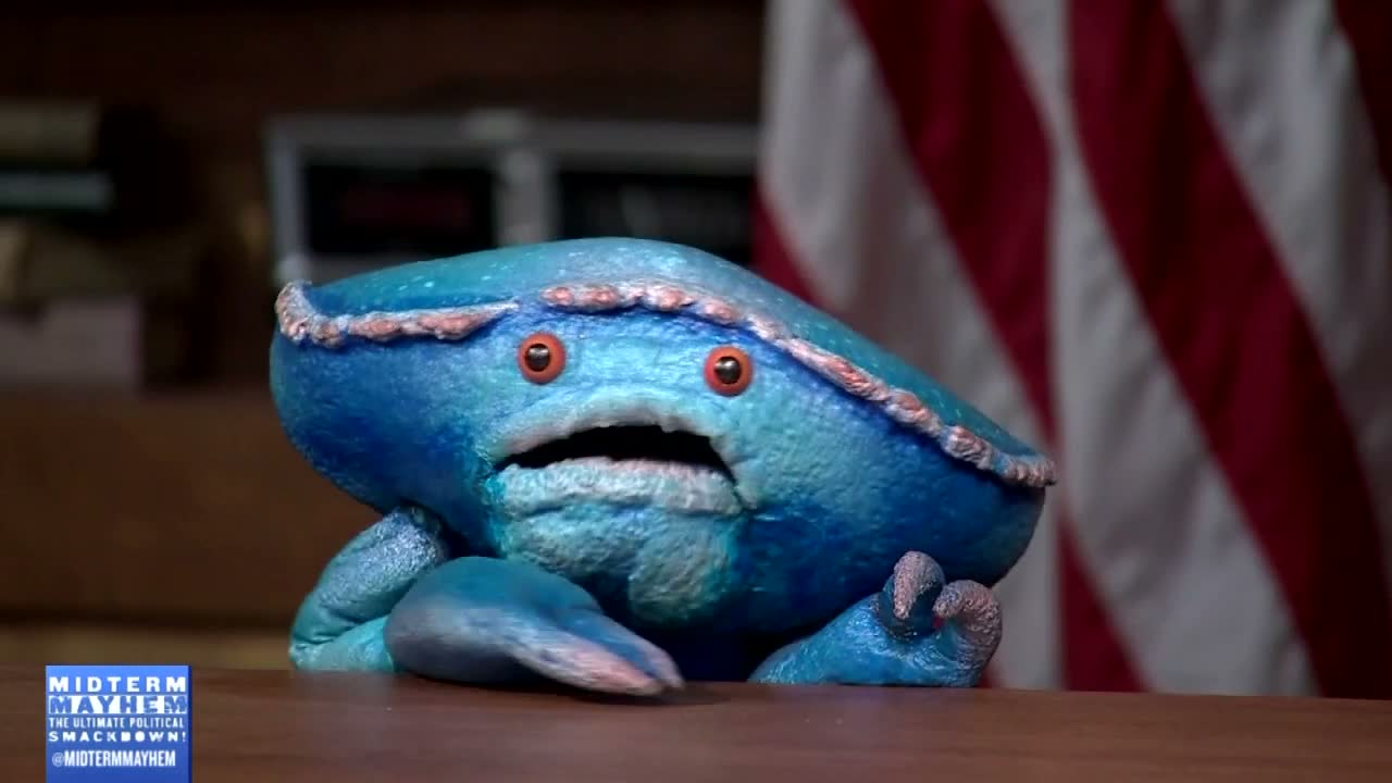 Midterm mayhem, the 2014 election episode